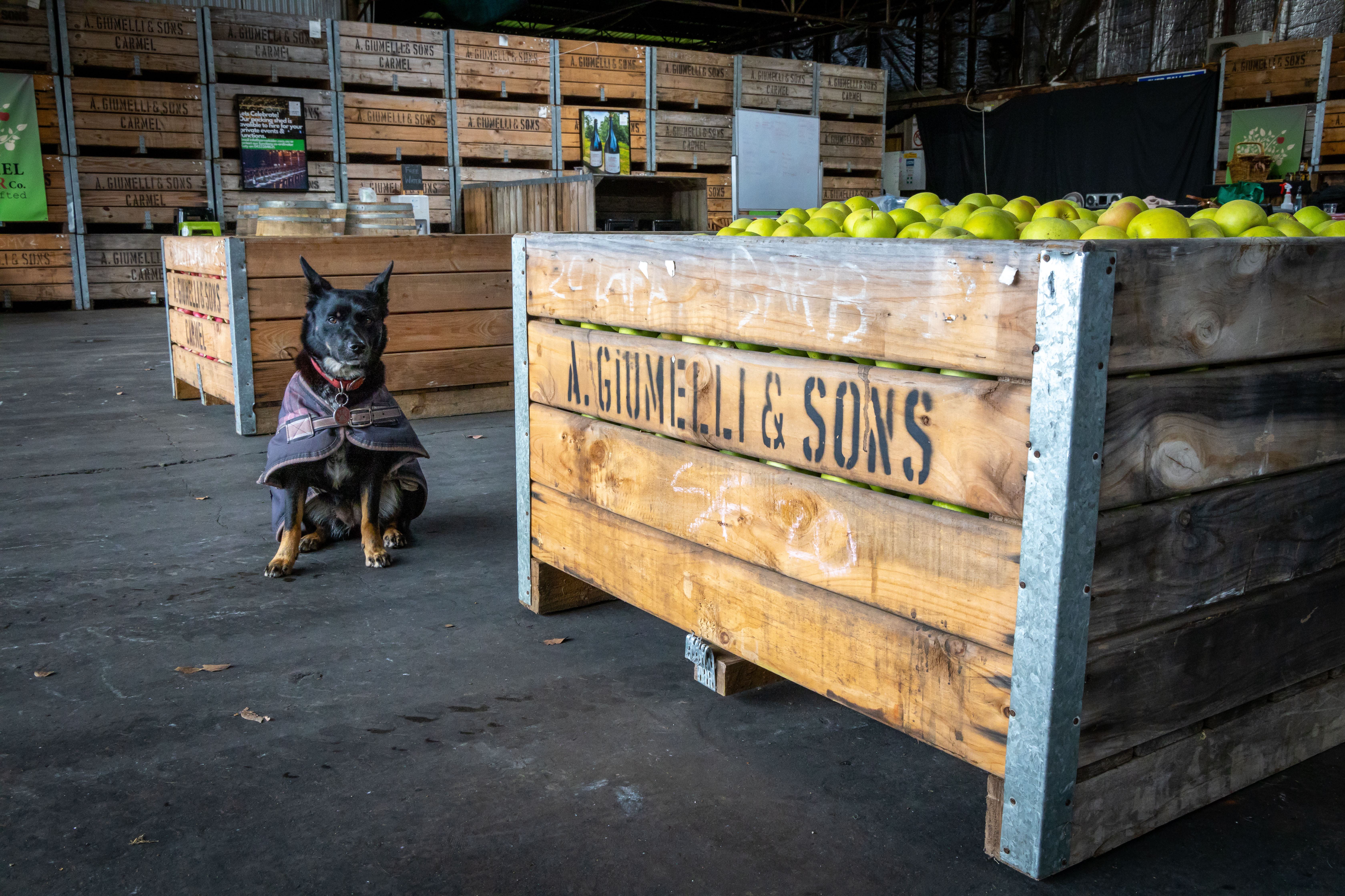 Carmel_Cider